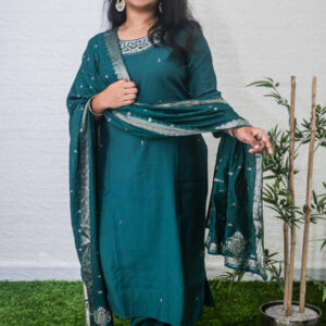 Semi party wear set