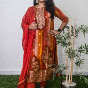 Party wear salwar suit