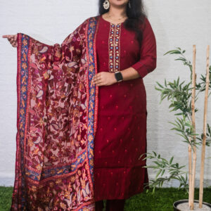 Semi party wear set