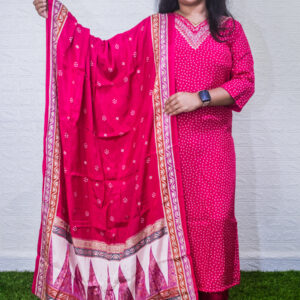 Semi party wear set