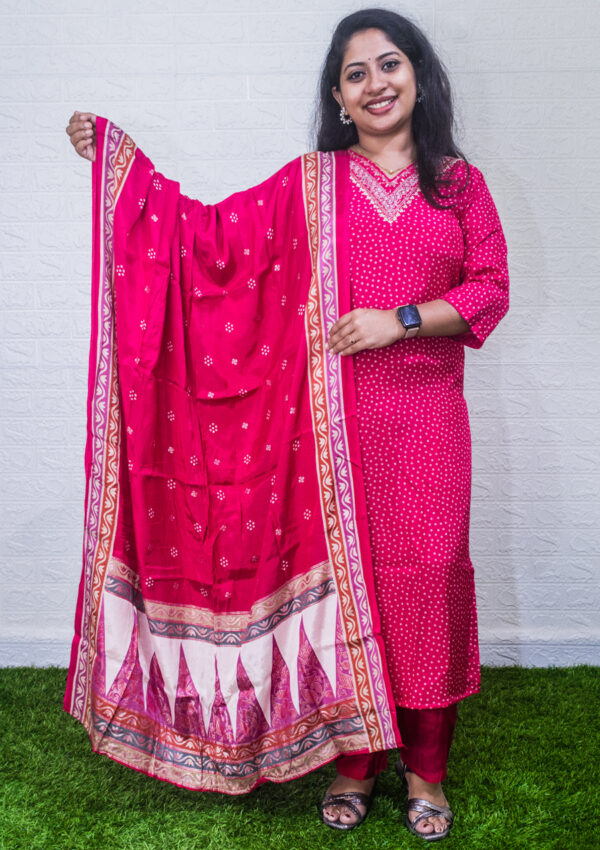 Semi party wear set