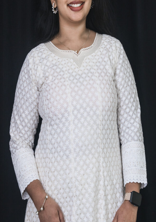 Heavy Panel cut anarkali - Image 2